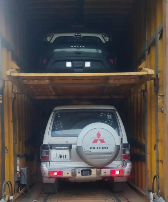 Dolphin Packers and Movers: Your Trusted Partner for Car Transportation