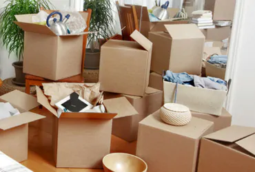 Dolphin Packers and Movers Ahmedabad